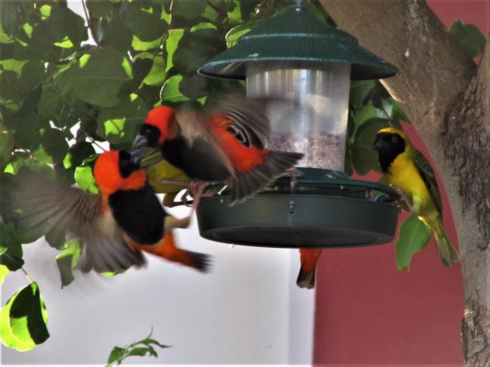 モンタギュー Squirrels Corner Bed & Breakfast エクステリア 写真